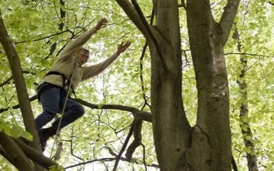 Iels se sont blotties au coeur des arbres